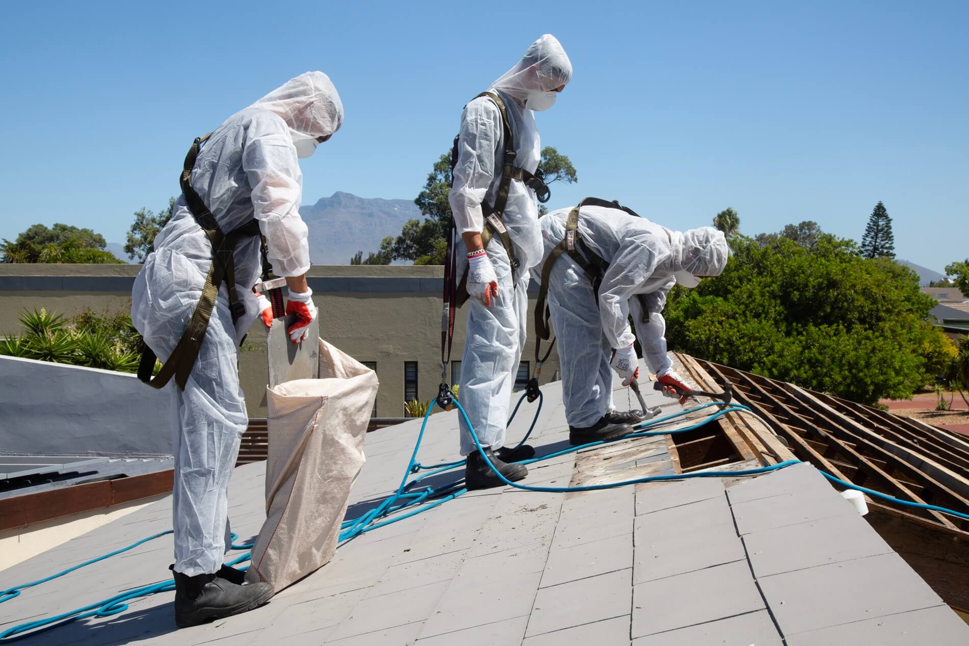 Why asbestos removal and remediation is important? - CTW Group
