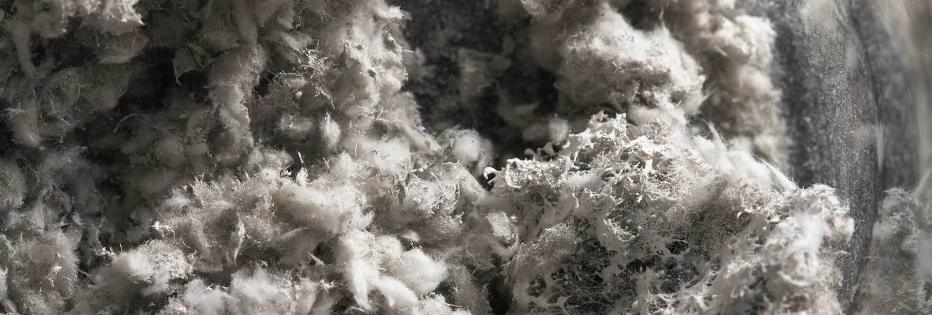Asbestos Inventory Assessments - CTW Group